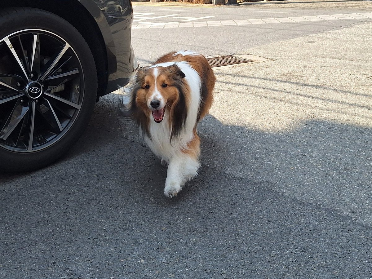 하늘(שָׁמַיִם) tweet media