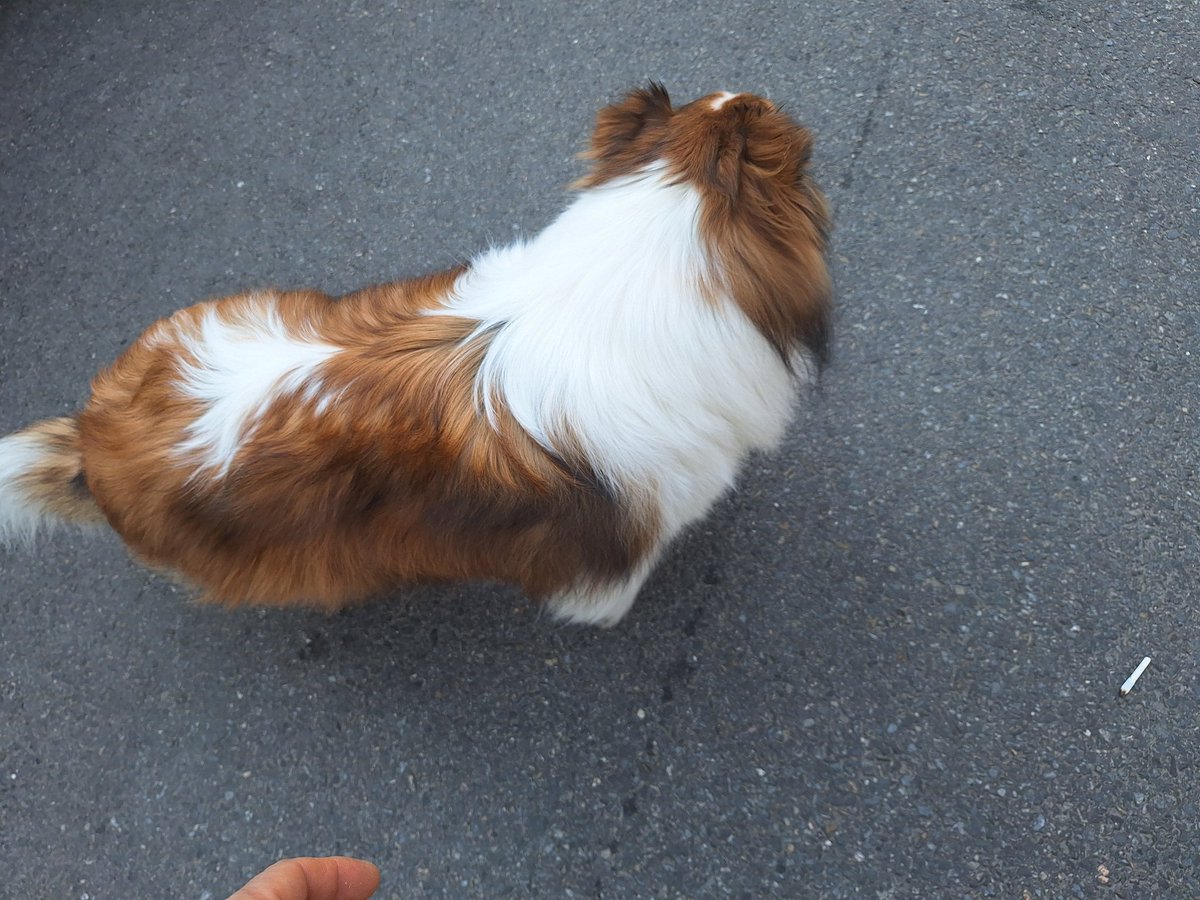 하늘(שָׁמַיִם) tweet media