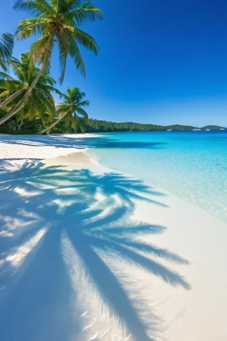 Nature's Embrace tweet media