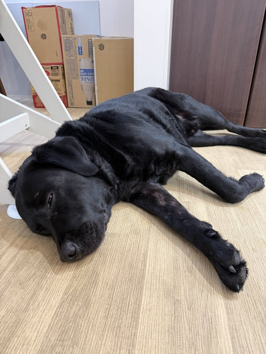 埼玉のスバル🐕‍🦺SUBARU tweet media