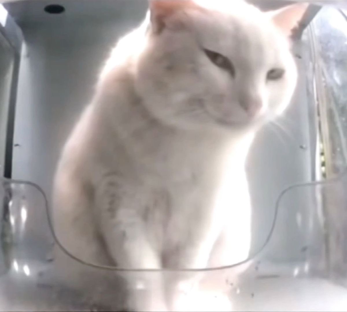 ‍ *°࿐ ‍𝑷𝐿ᴬ𝒴 ‍ ᵀ̲ᴼ̲ ‍ 𝑤𝑖𝑛.. tweet media