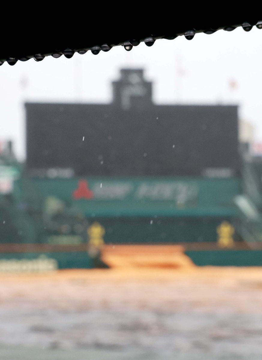 読売ジャイアンツ tweet media