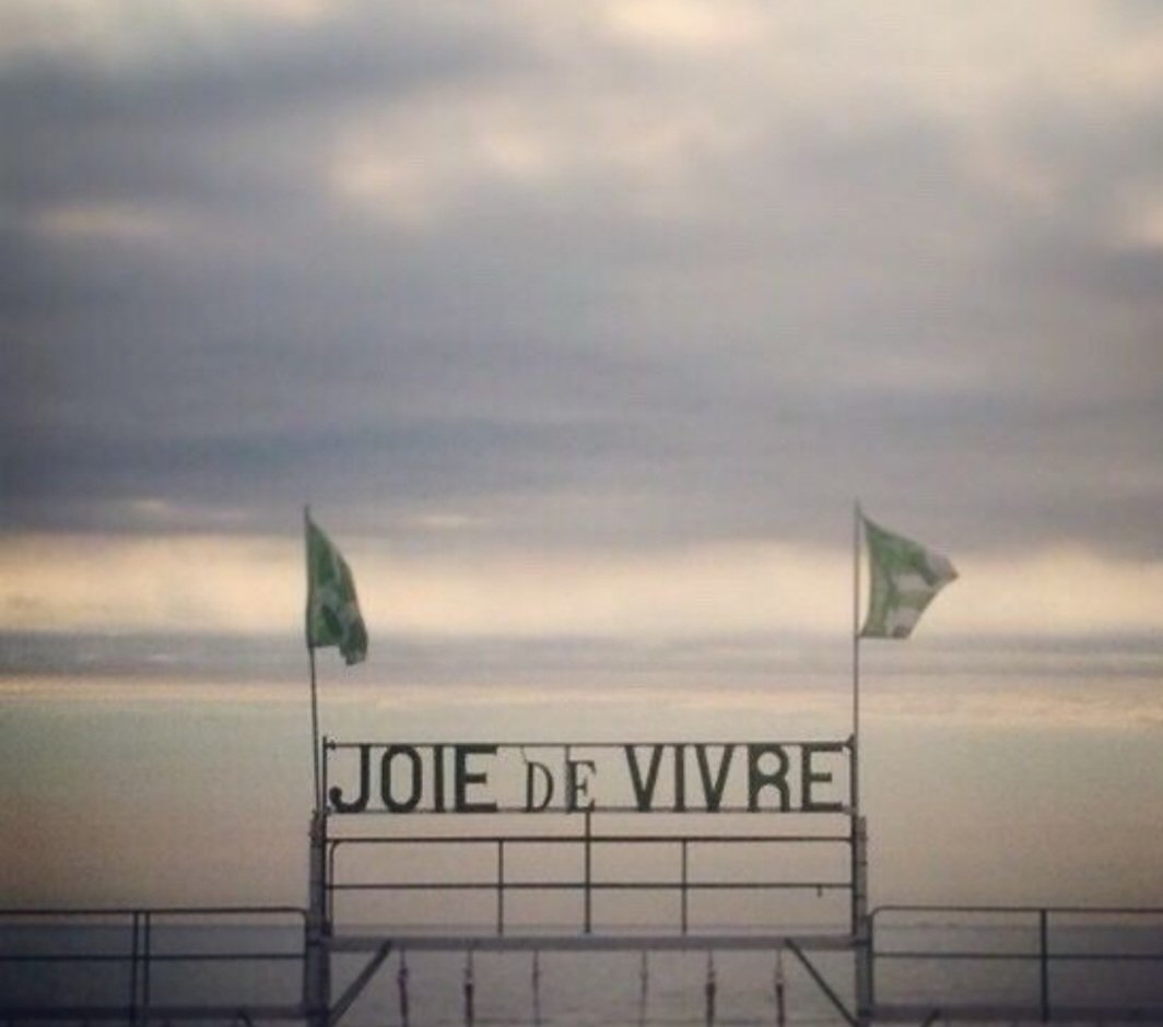 anna 🌹🦂 tweet media