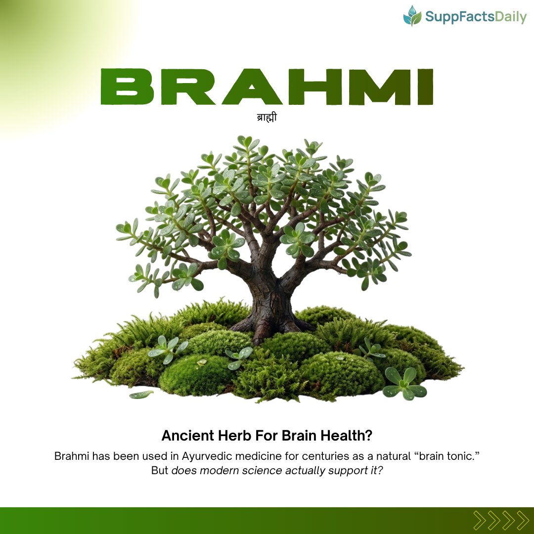 SuppFactsDaily's tweet photo. Stress less. Focus more. Remember better 🌿
Brahmi’s got your brain covered.

#Brahmi #BrainHealth #NaturalWellness #Ayurveda #HealthyLiving #HerbalHealing https://t.co/yNVUmI7jA9
