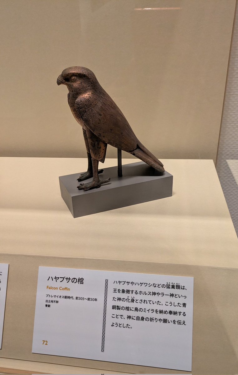 ロボ子展 tweet media