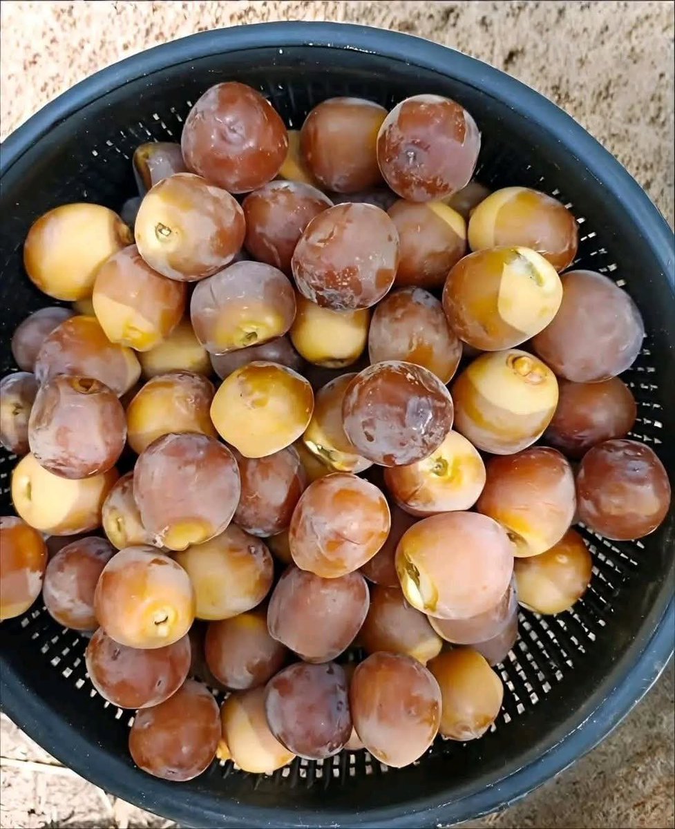 شبكة الريح للطقس tweet media