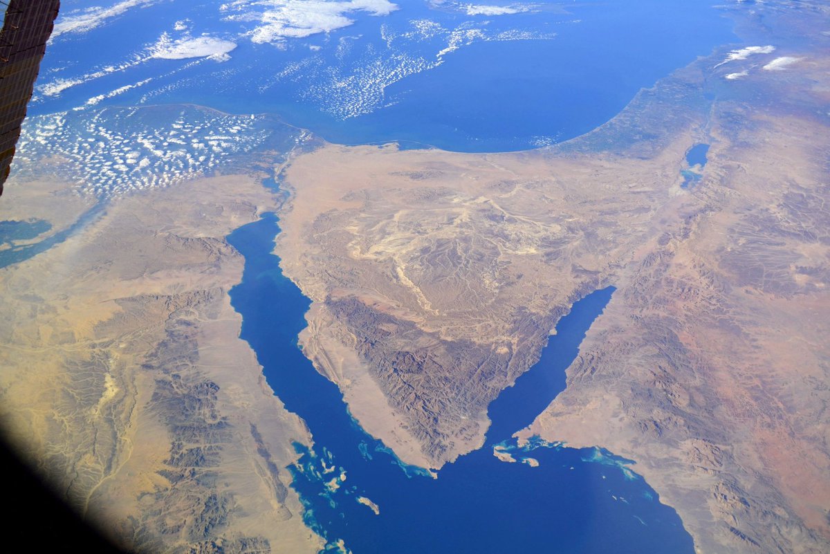 LiVEARTH tweet media