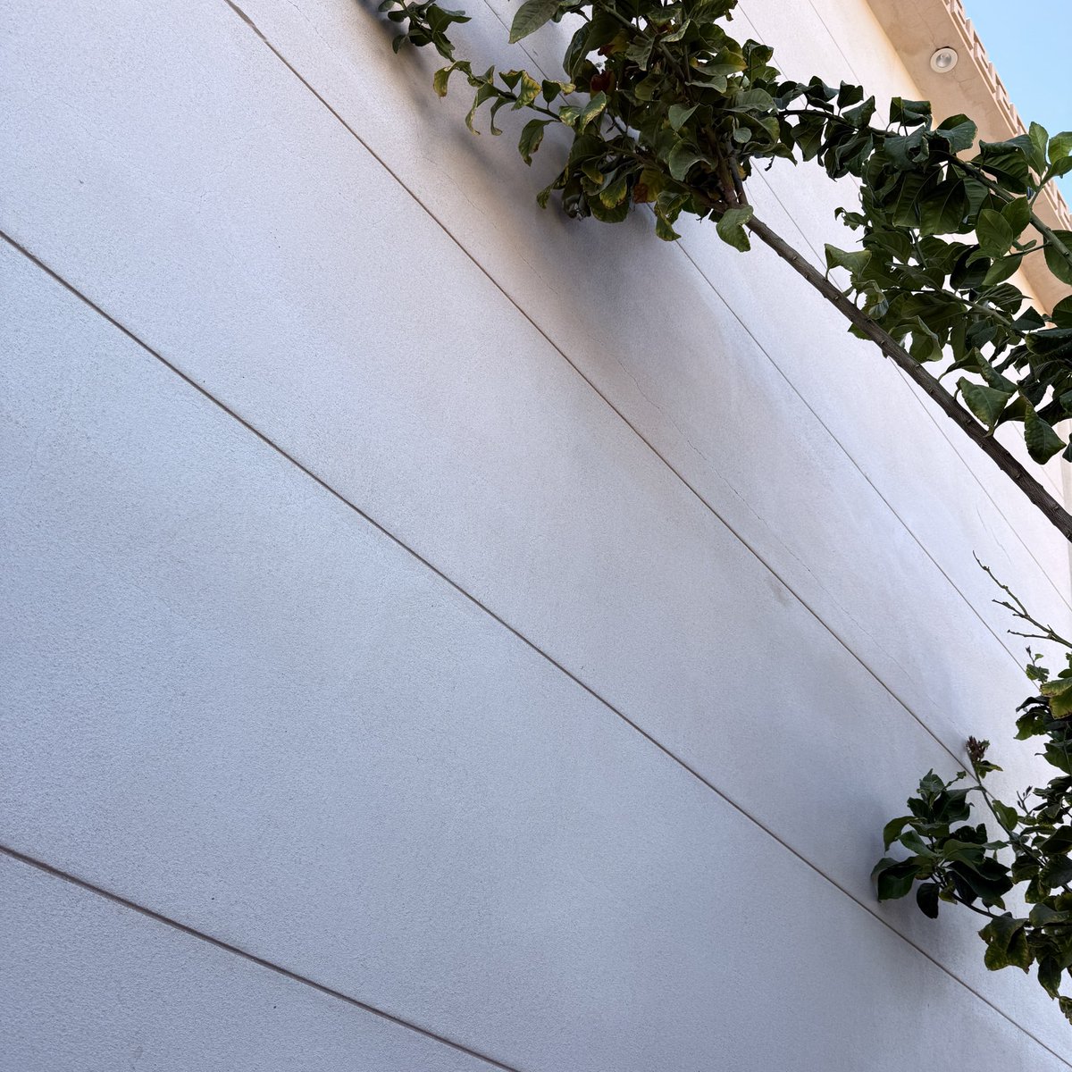 عَذْبـ tweet media