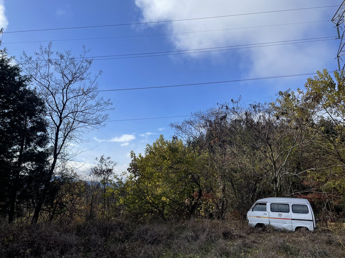 ゆうた@草ヒロと歌謡曲と私 tweet media