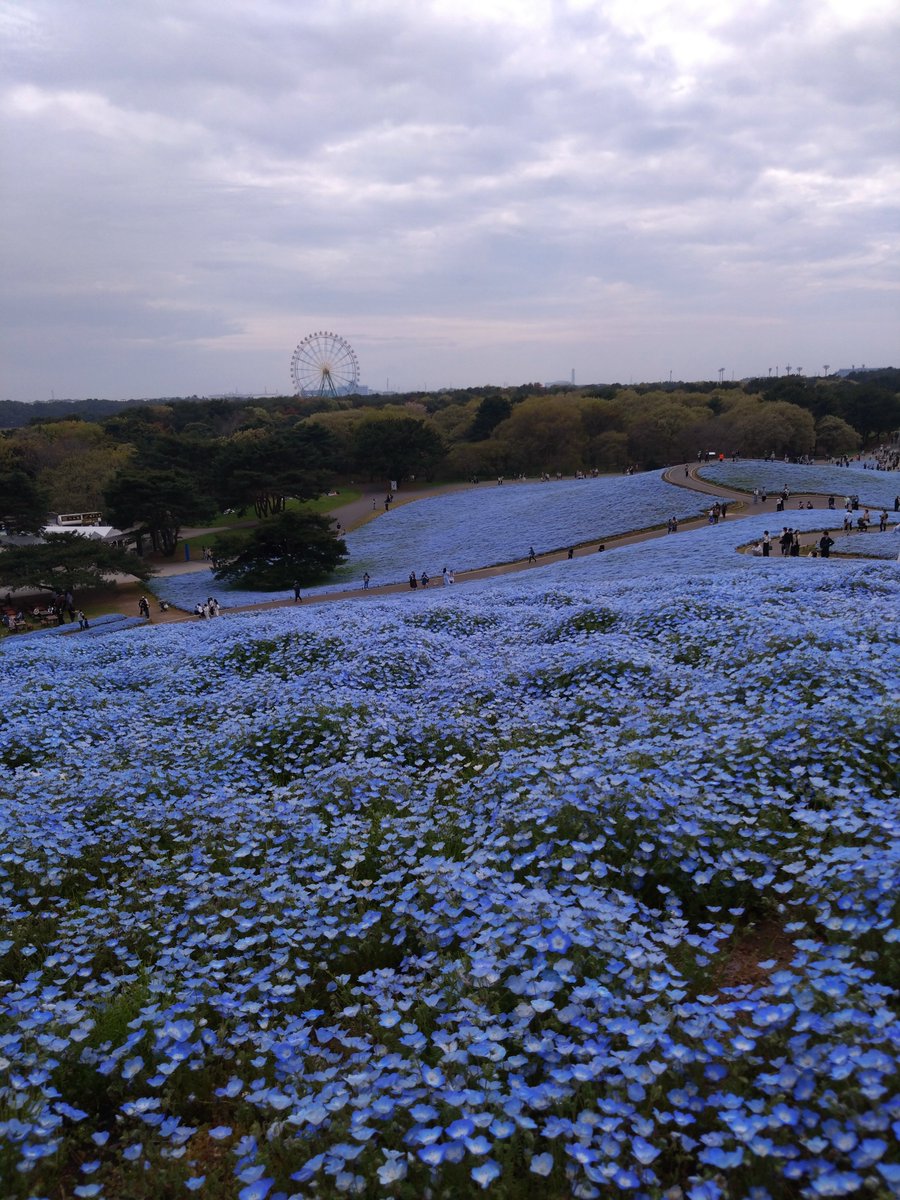 さーさん tweet media