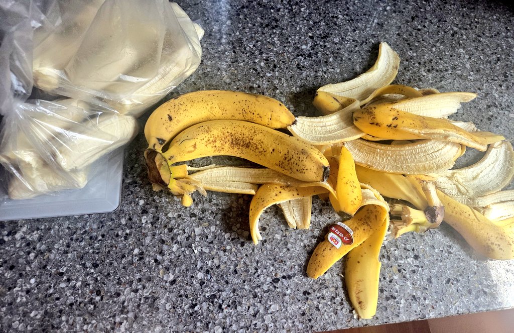 디고_DiGo tweet media