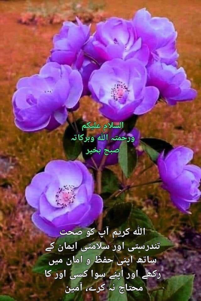 ma_kgb1's tweet photo. Assalamu Alaikum everyone on X https://t.co/hOVyWeuYYO