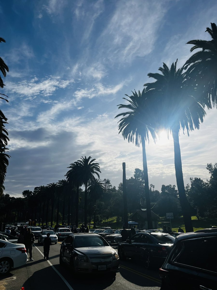 tha blacc mozart. tweet media