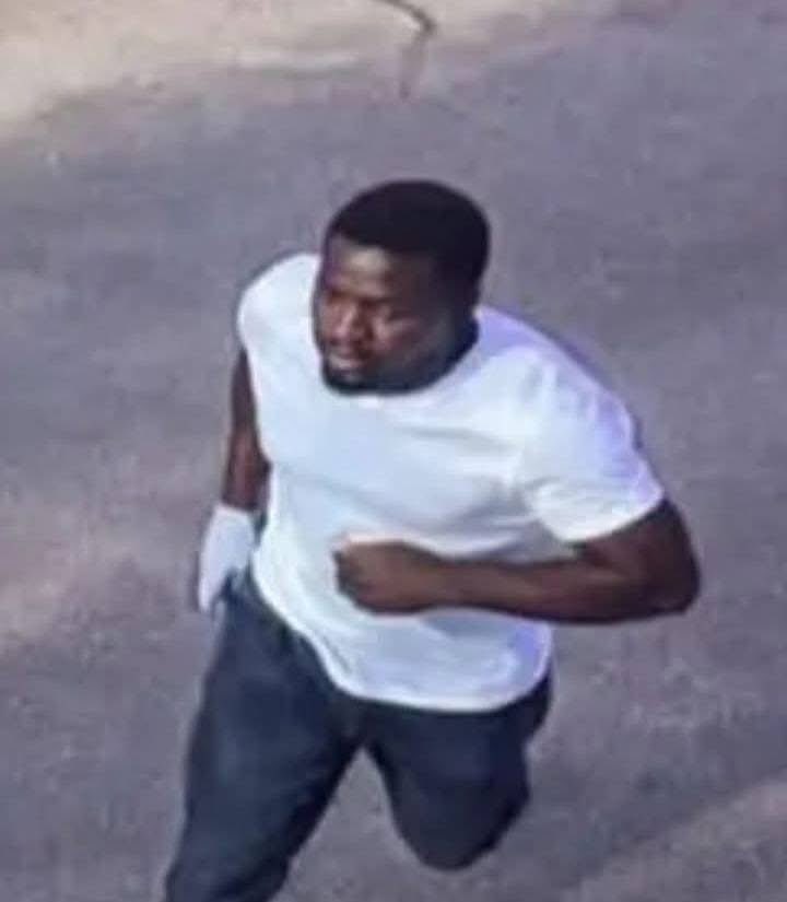 Talia🇿🇦 tweet media