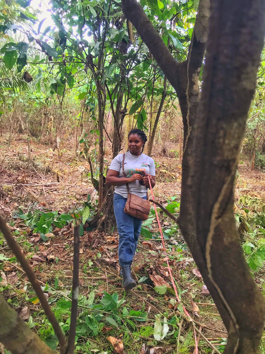 Enibo Albert tweet media