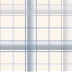 𝑪𝒂𝒎. ⌞ #Shedtwt ⌝ tweet media