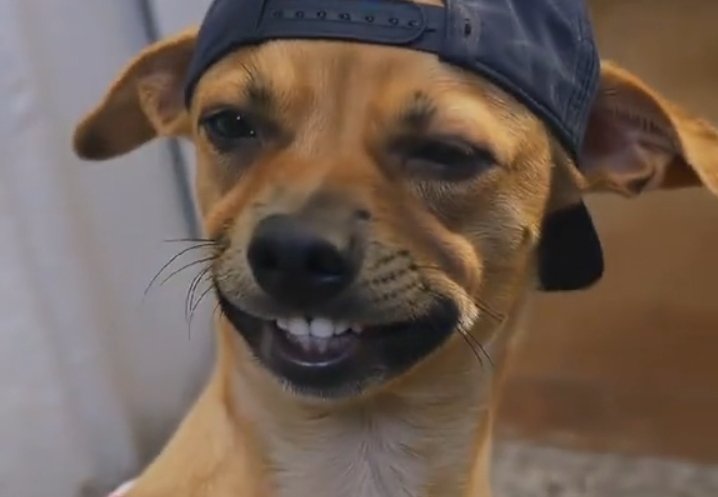 Kendrick Stunt tweet media