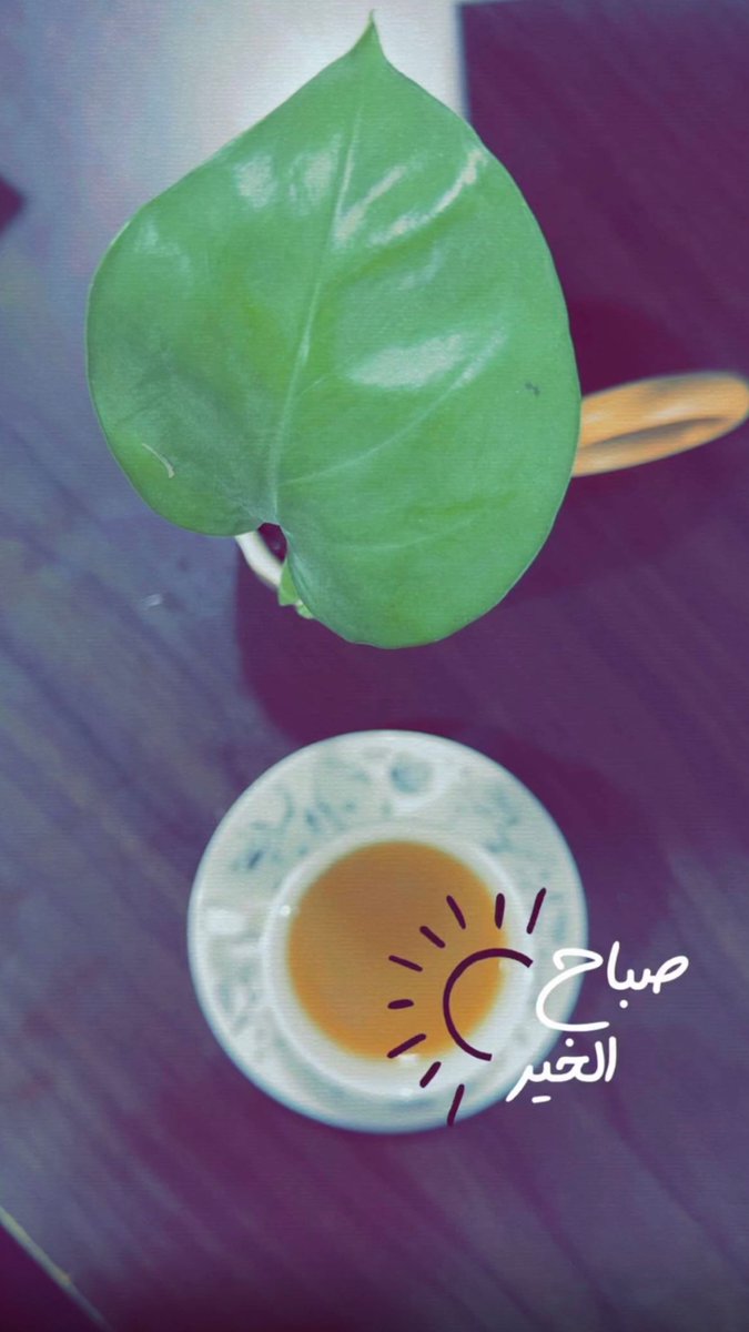 فإنّا الموقنون، المتطلّعون الطامِحون، نُجابهُ المستحيلَ حتى نكون ندًّا له.☻

#صباح_الخير