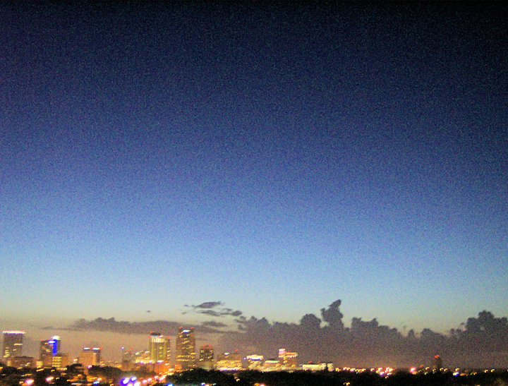 Bella Donna tweet media