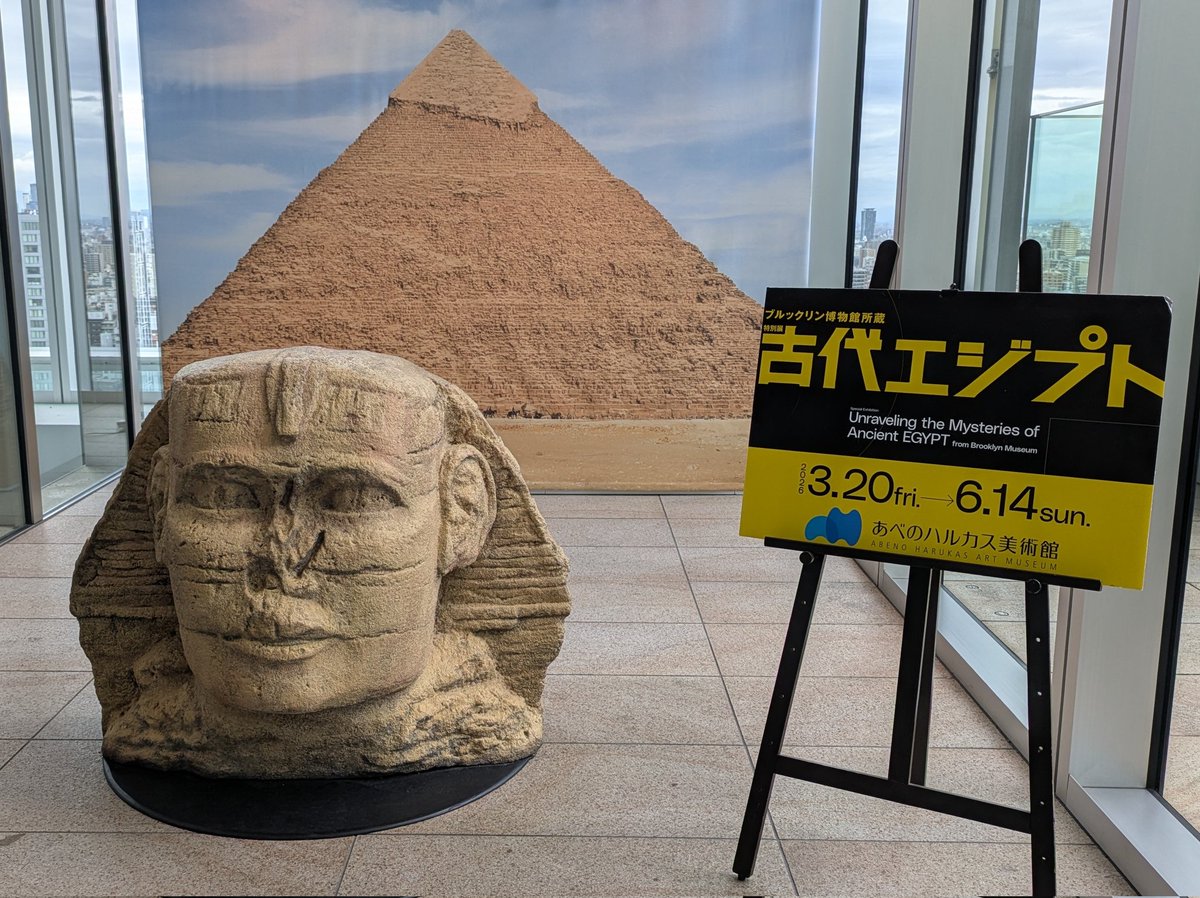 ロボ子展 tweet media