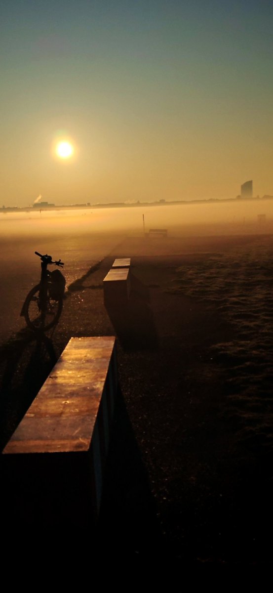 AnsorgerLa's tweet image. Moin
Etwas nebelig, endlich wieder Rehe  zu sehen, nachher ging am 
Tempelhofer Feld dann noch die Sonne auf.
Was will man mehr
#Fahrrad #Berlin #mdrza #cycling