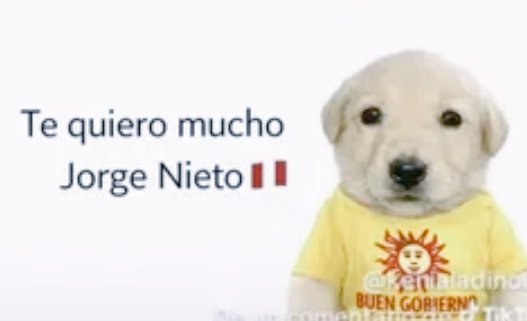 van☀️🇵🇪 tweet media