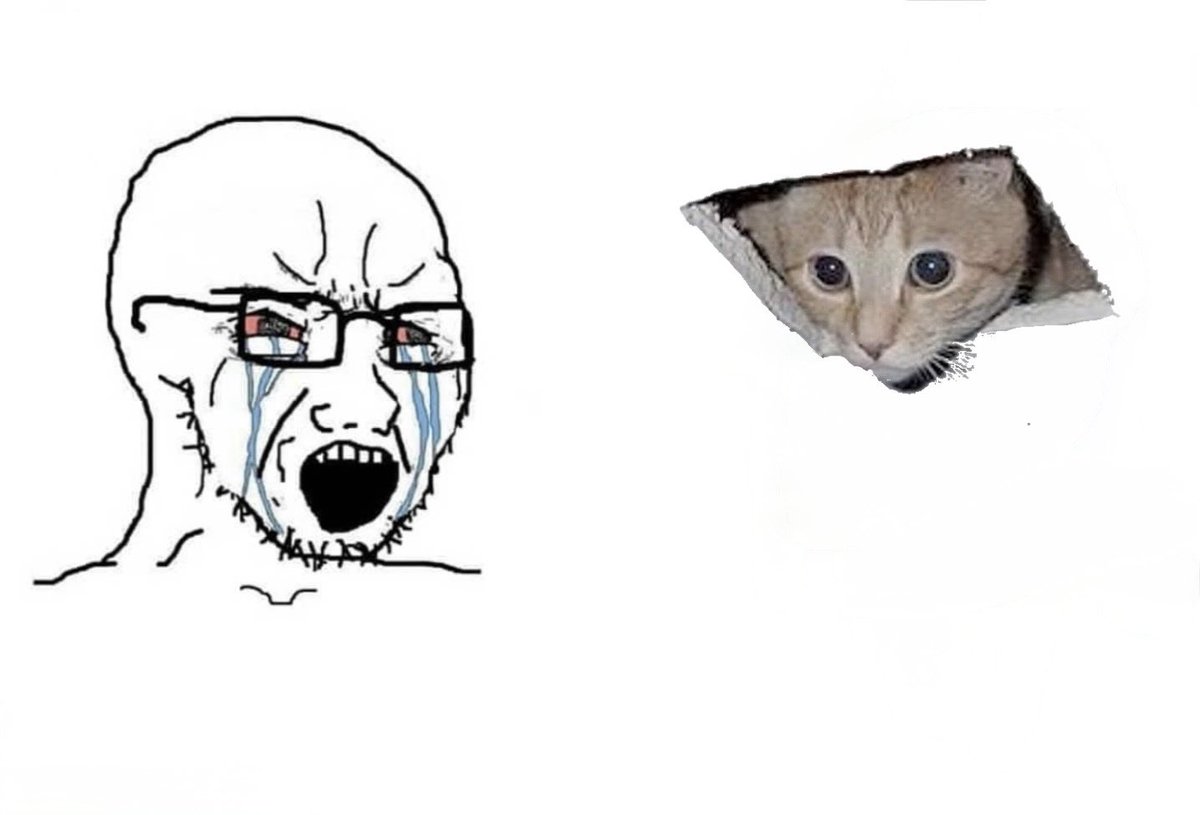 ceilingcat_sol's tweet photo. https://t.co/JHuZvvcNNV