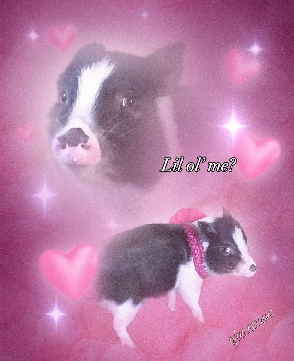 Alise | อลิส 🖤 NYC May 2026 tweet media