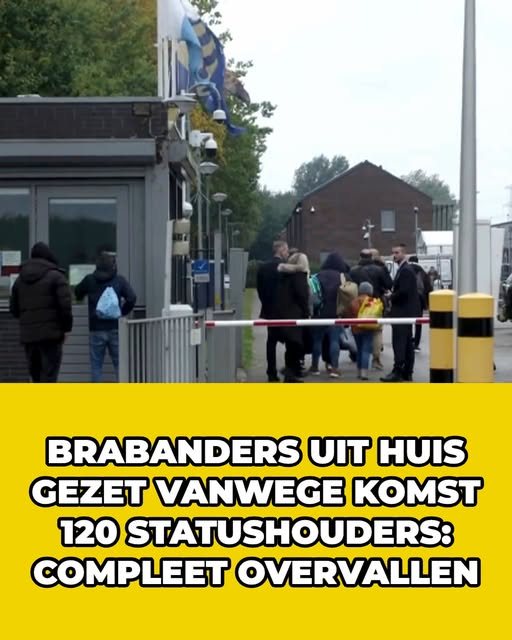 Dolly van den Berg tweet media