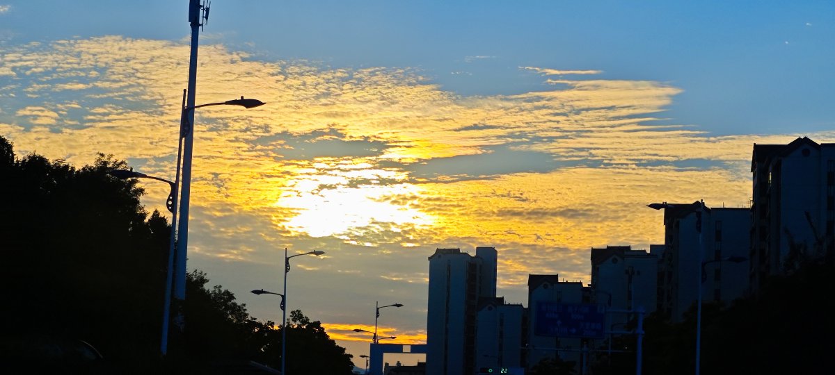 bendouze barreta tweet media