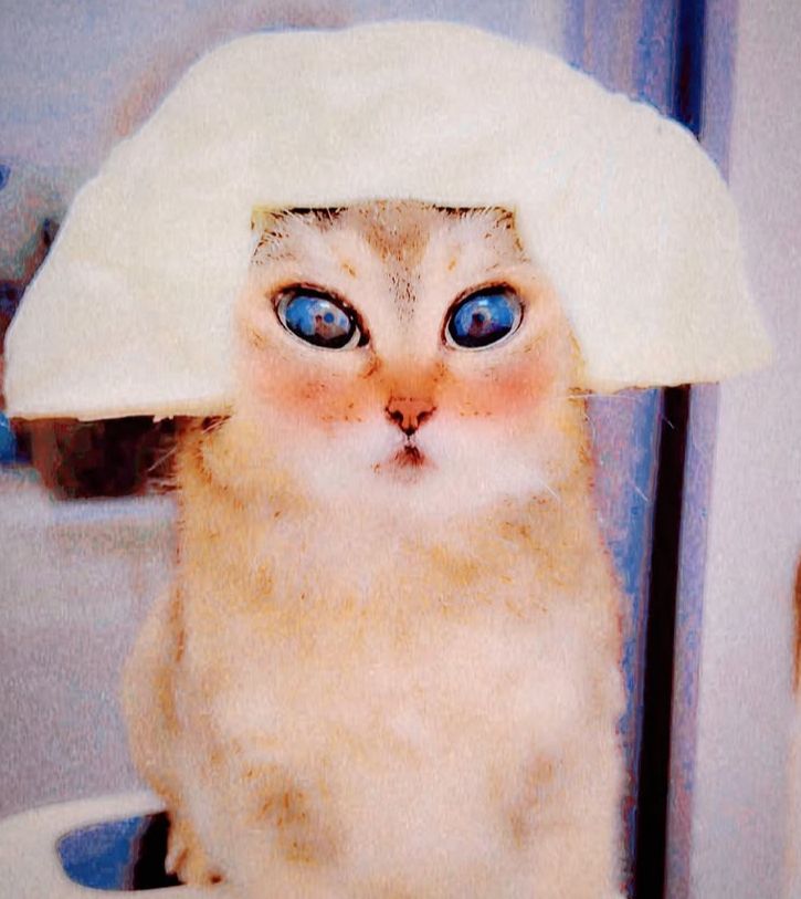 Sillystrings tweet media