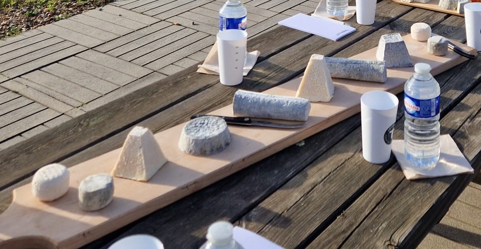 Fnsea41's tweet image. 🟢 Le 10 avril, lors de la visite de @AnnieGenevard , la @Fnsea41 était présente pour soutenir le plan de sauvegarde de la filière #laitcru 🥛, socle des #AOP caprines de la région #centrevaldeloire 🐐
@EleveursChevres @FNSEA @fnseacvl @Horizons_agri @JeunesAgri41