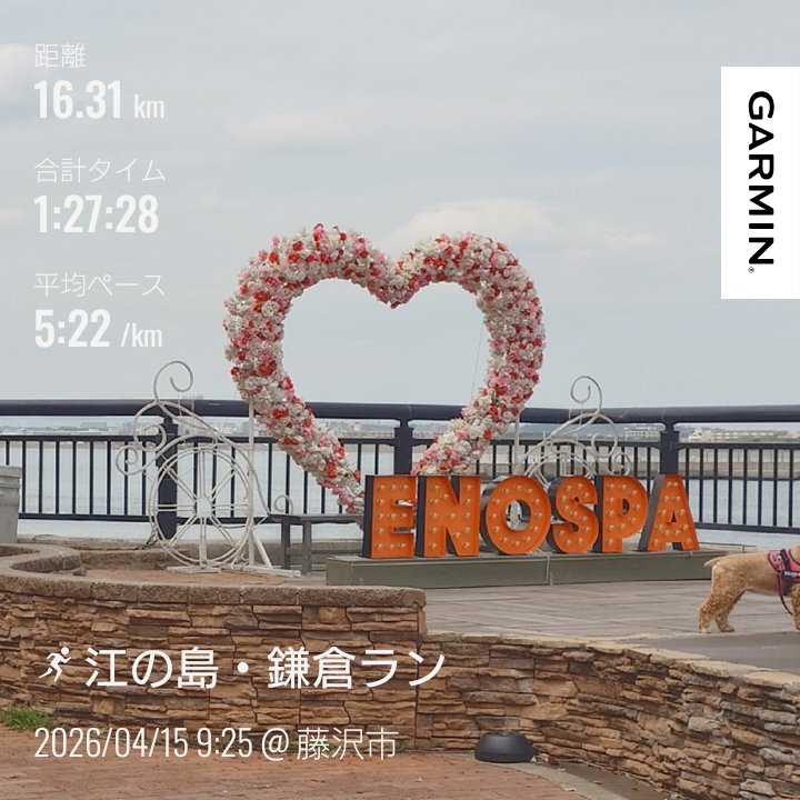 じゅんべぇ。 tweet media