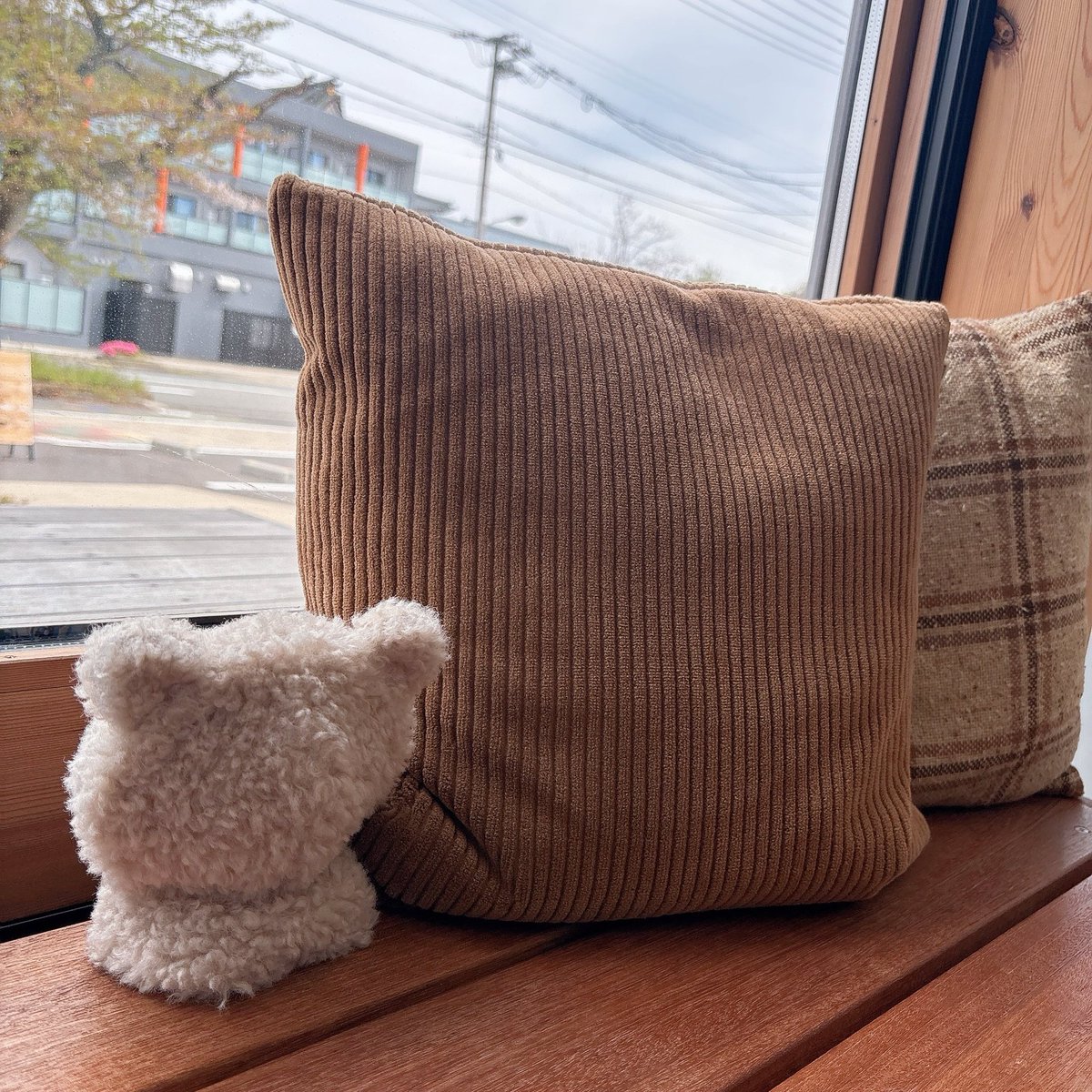 文鳥さんちのりかぬくん tweet media