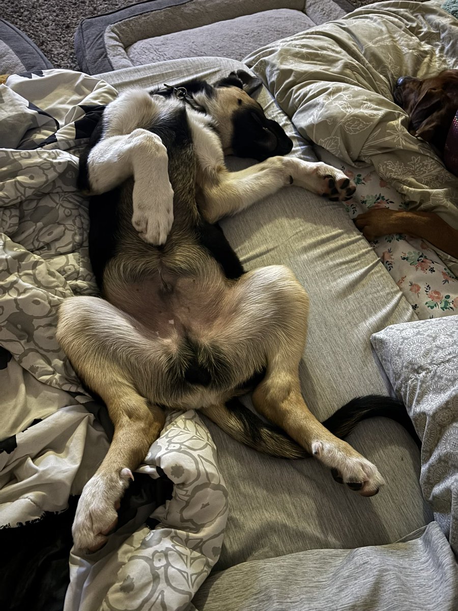 GoneIVGood tweet media