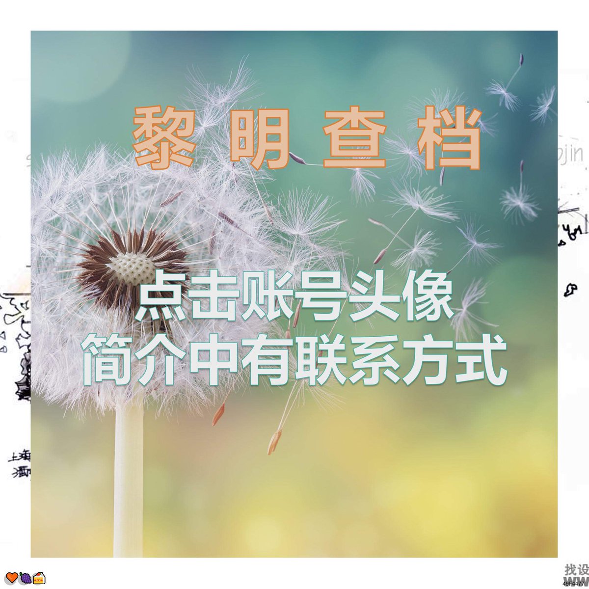 Robin Manus tweet media