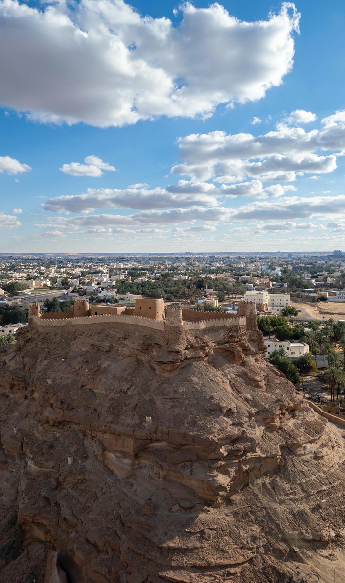 المملكة tweet media