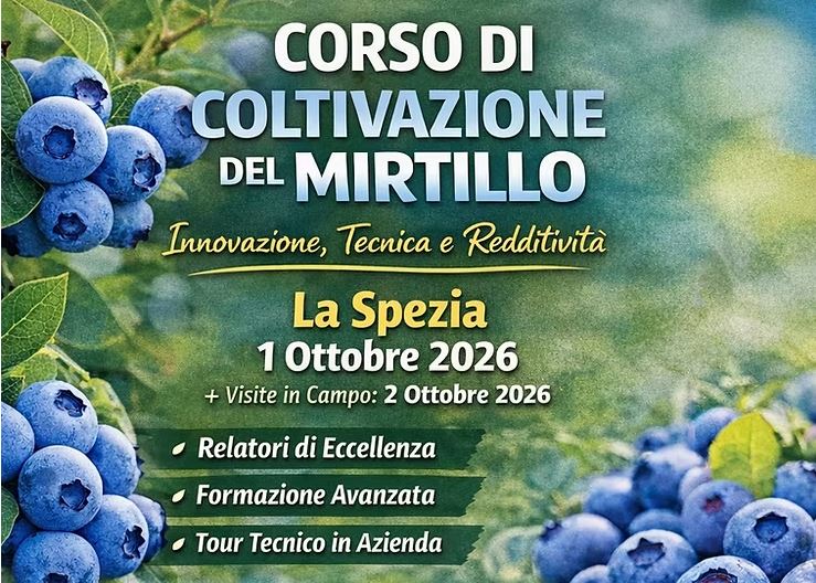 FertirrigoFacile di Silvio Fritegotto tweet media