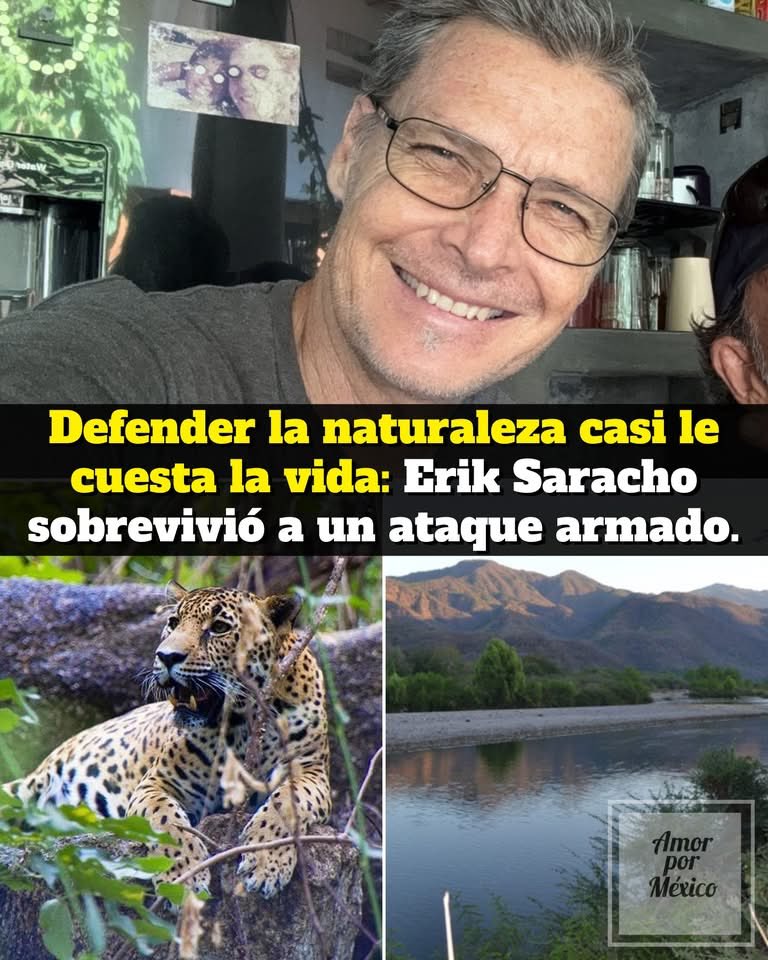 DRA. MERCEDES PAVON "SUPERMUELITA FIFÍ" tweet media