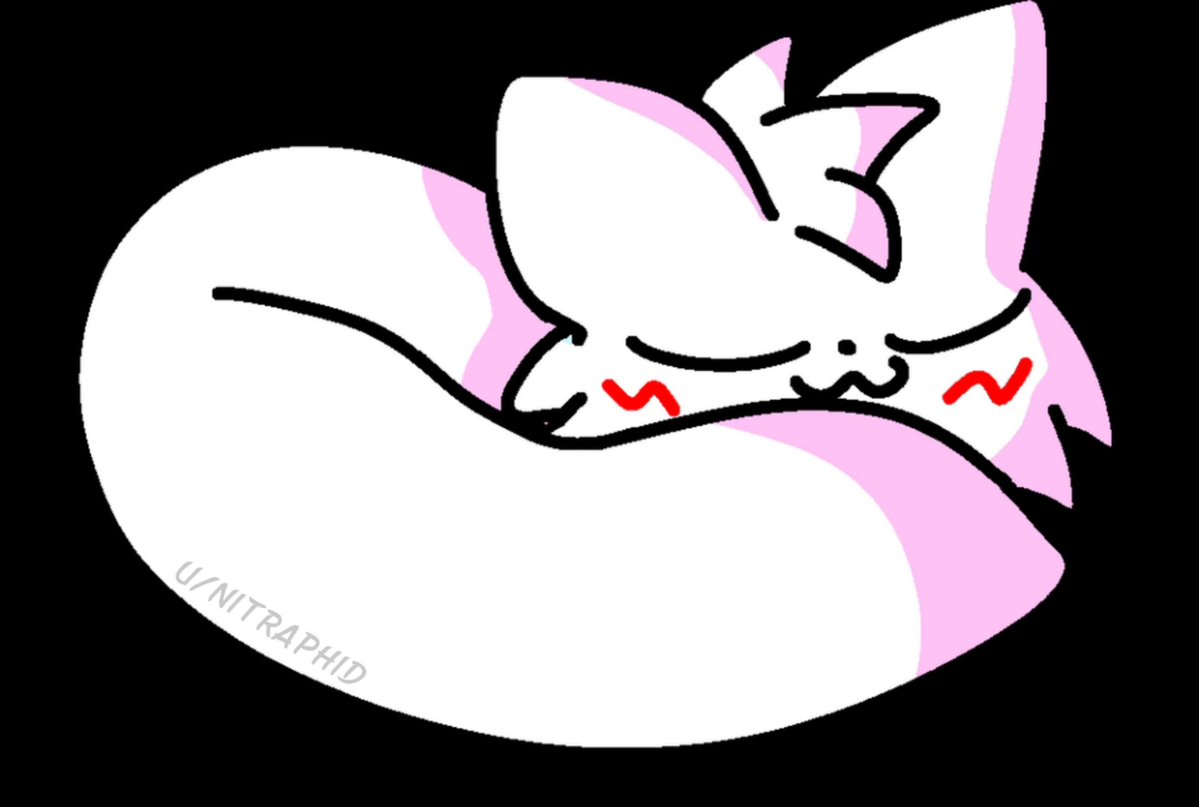 Central Boykisser BR🇧🇷 tweet media