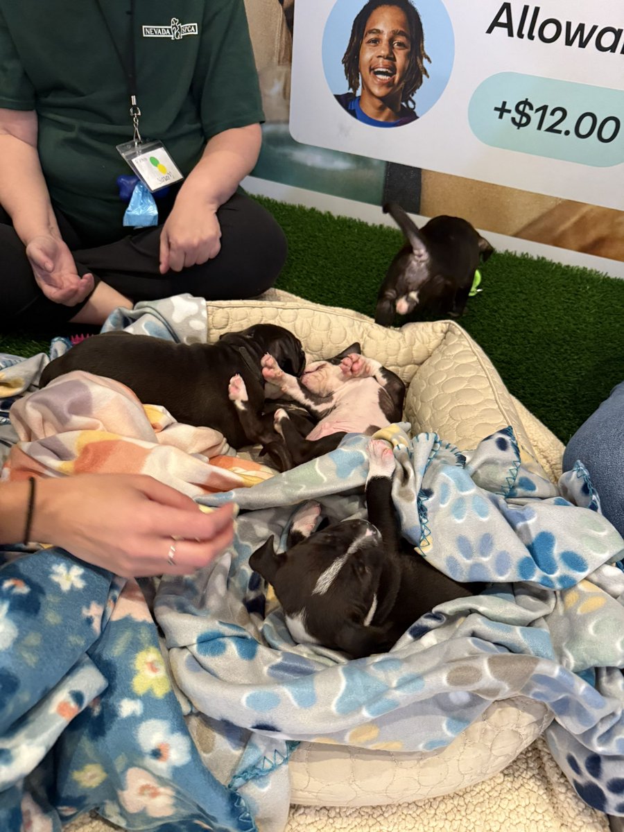 Alise | อลิส 🖤 NYC May 2026 tweet media