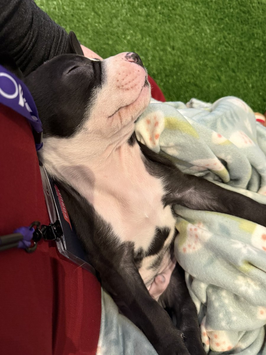 Alise | อลิส 🖤 NYC May 2026 tweet media