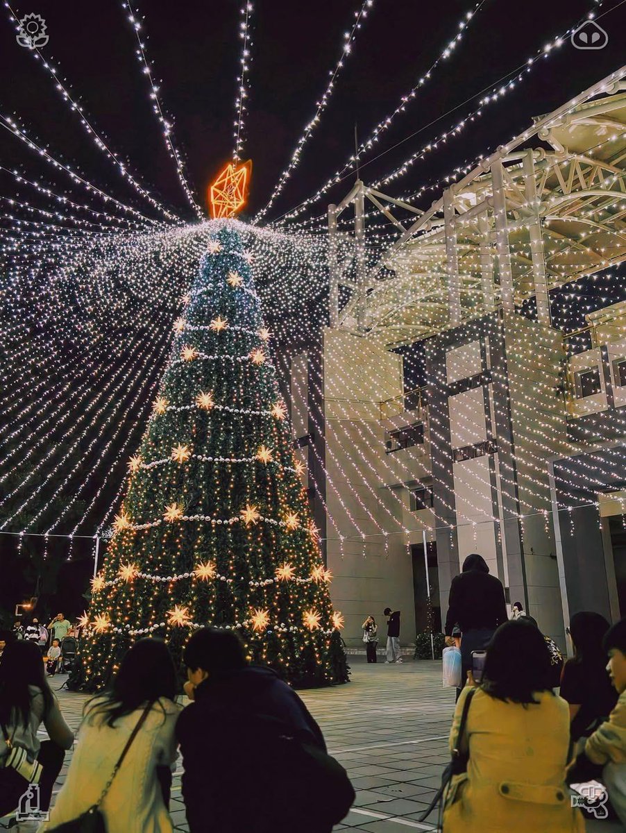 조중동은 적폐 tweet media