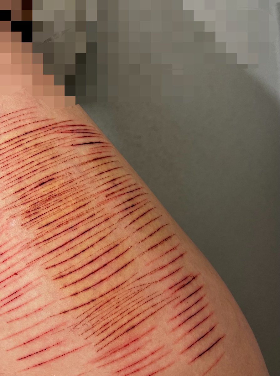 pixiestar!¡ tweet media