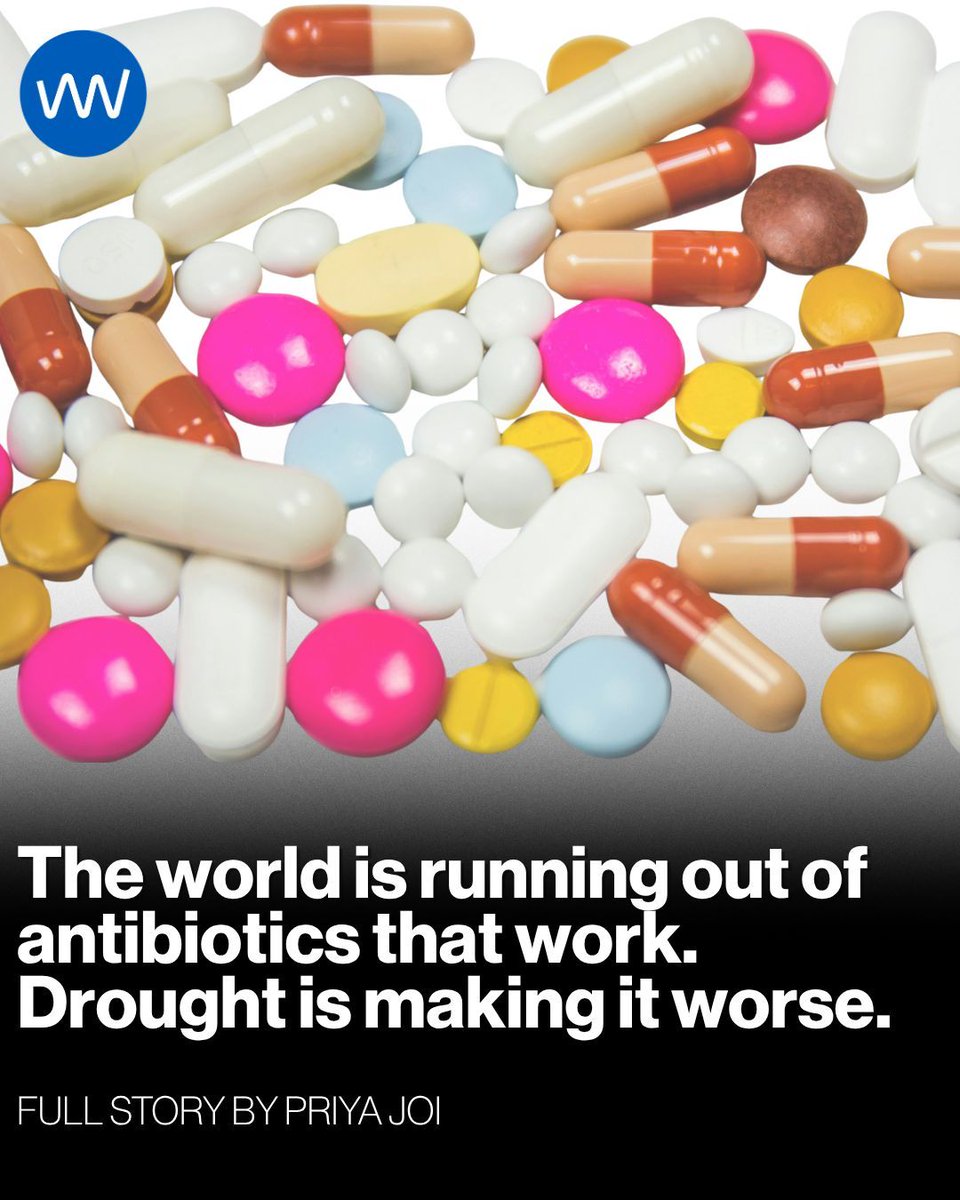 gavi's tweet image. “Droughts are creating the same effects as overuse of antibiotics in the clinic. They both drive selection for antibiotic resistance.” 

A new study has warned that the rising threat of droughts due to #climatechange is linked to a spike in antibiotic-resistant bacteria in soil.
