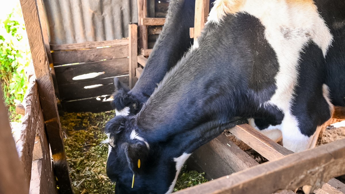 3E_Africa tweet media