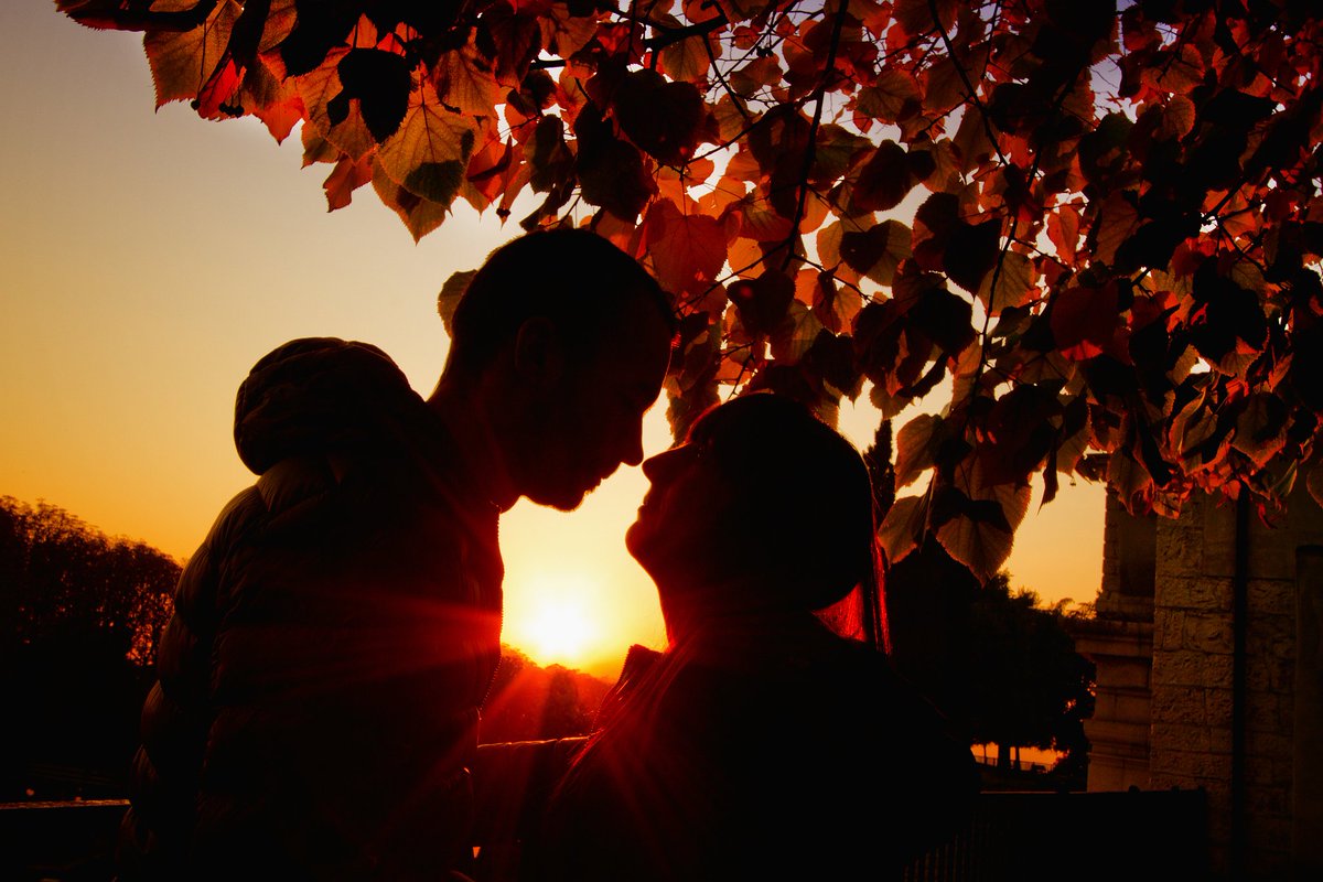 ياسر البابلي  tweet media