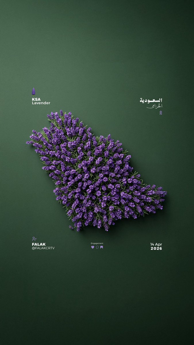 SAUDI POPULAR tweet media