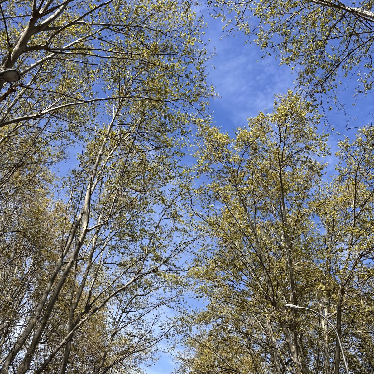 lucasfh1976's tweet image. #anewdayhascome #comienzaunnuevodía