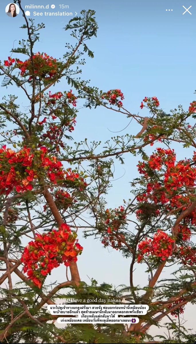 ᴍᴏᴏᴋᴋᴜ 🔥 tweet media